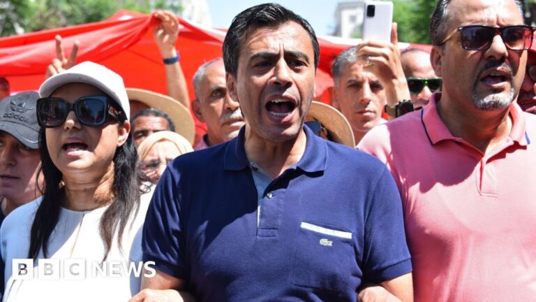 Tunisia imposes prison sentences on numerous opposition members