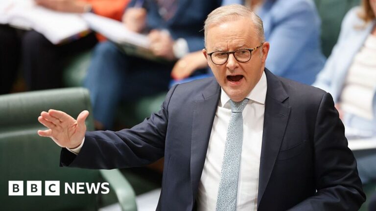 Anthony Albanese unveils measures to combat hate speech following the Bondi shooting. Anthony Albanese unveils measures to combat hate speech following the