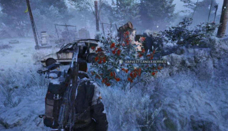 Locations for Candleberries in Arc Raiders and All Flickering Flames Items Locations for Candleberries in Arc Raiders and All Flickering Flames