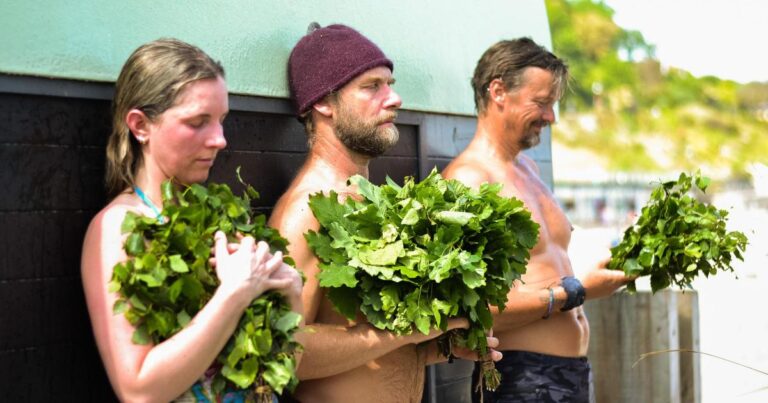 A remarkable visit to a seaside sauna in Dorset